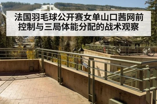 法国羽毛球公开赛女单山口茜网前控制与三局体能分配的战术观察